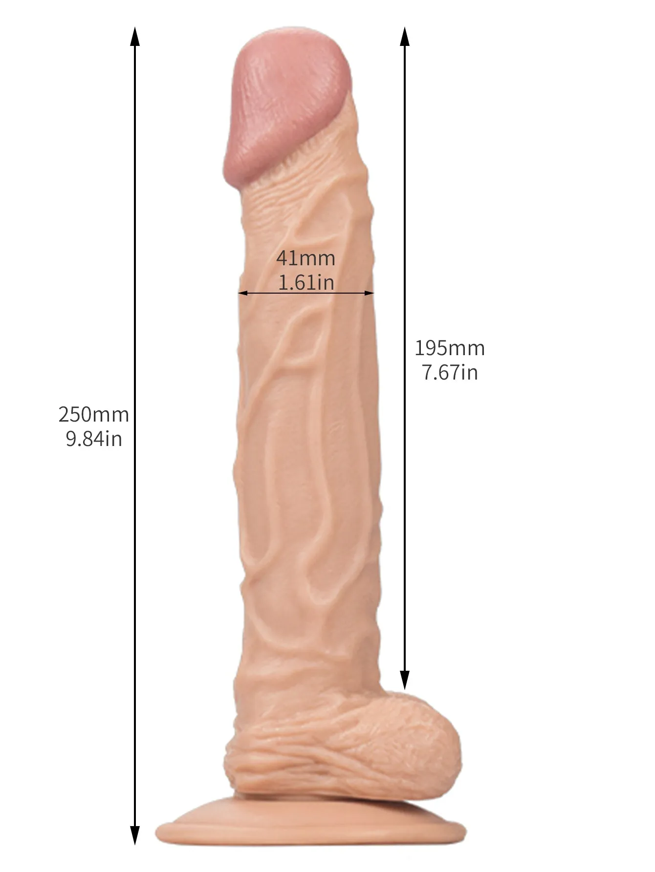 10 inch Long Realistic Dildo - Lifelike Vein Glan Small Testicles Sex Toys for Women