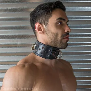 Alpha Dog Collar with Spikes