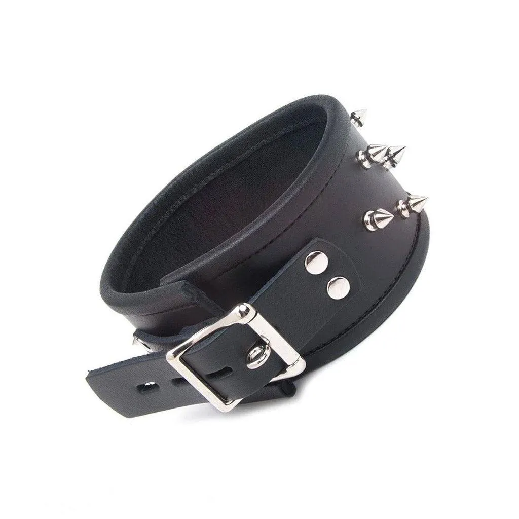 Alpha Dog Collar with Spikes