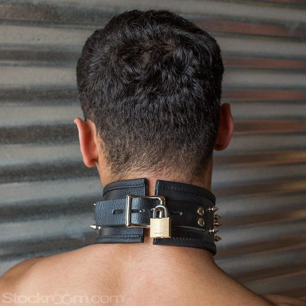 Alpha Dog Collar with Spikes