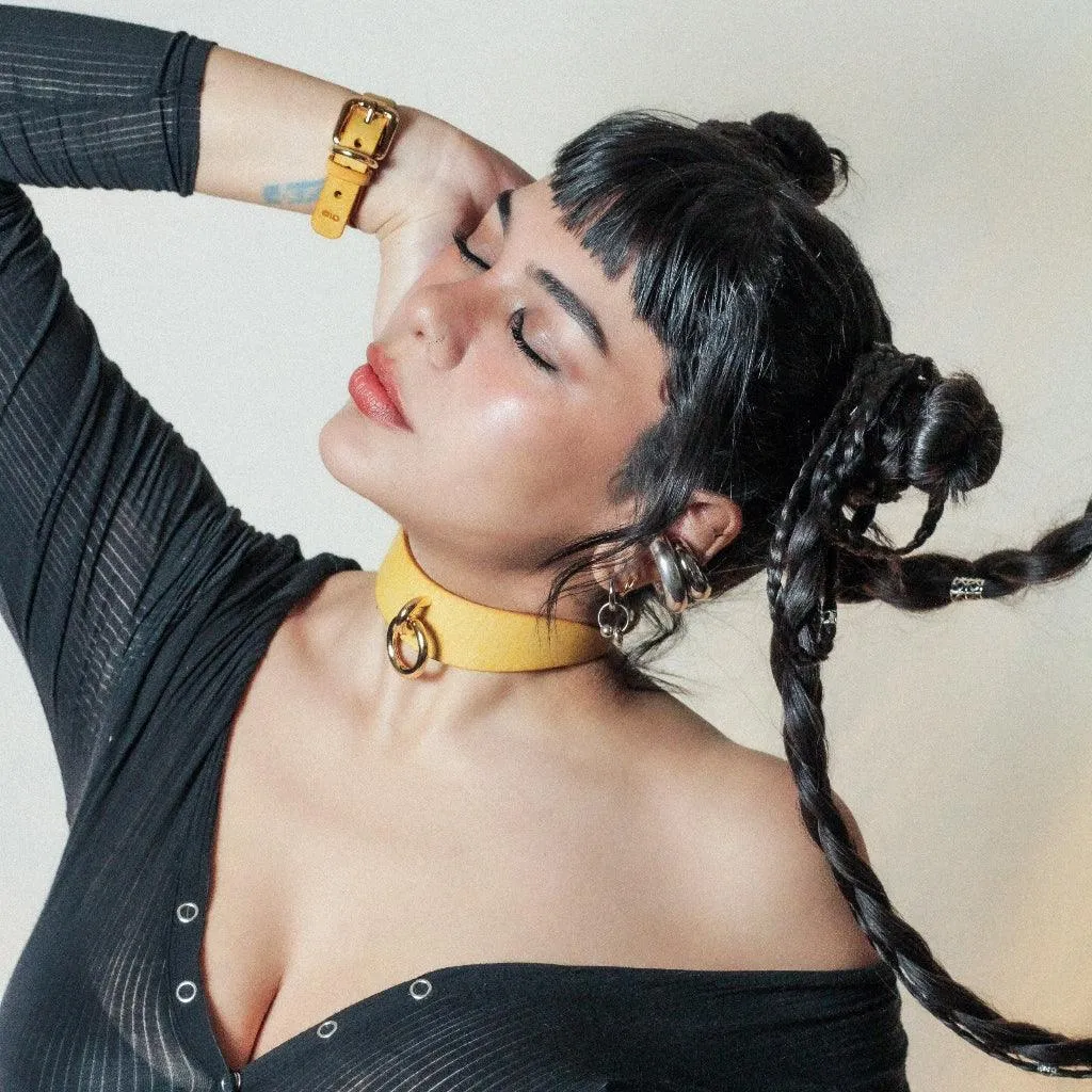 Luxury Leather Day Collar by Neon Coyotes. Golden Hour
