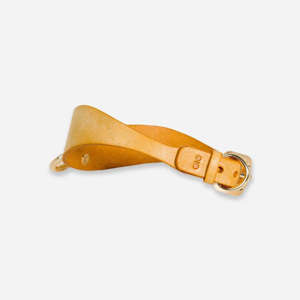 Luxury Leather Day Collar by Neon Coyotes. Golden Hour