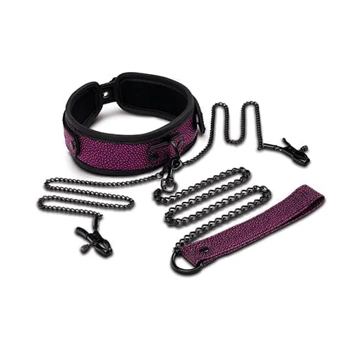 WhipSmart - Dragon's Lair Collar Leash and Nipple Clips BDSM Set (Purple)