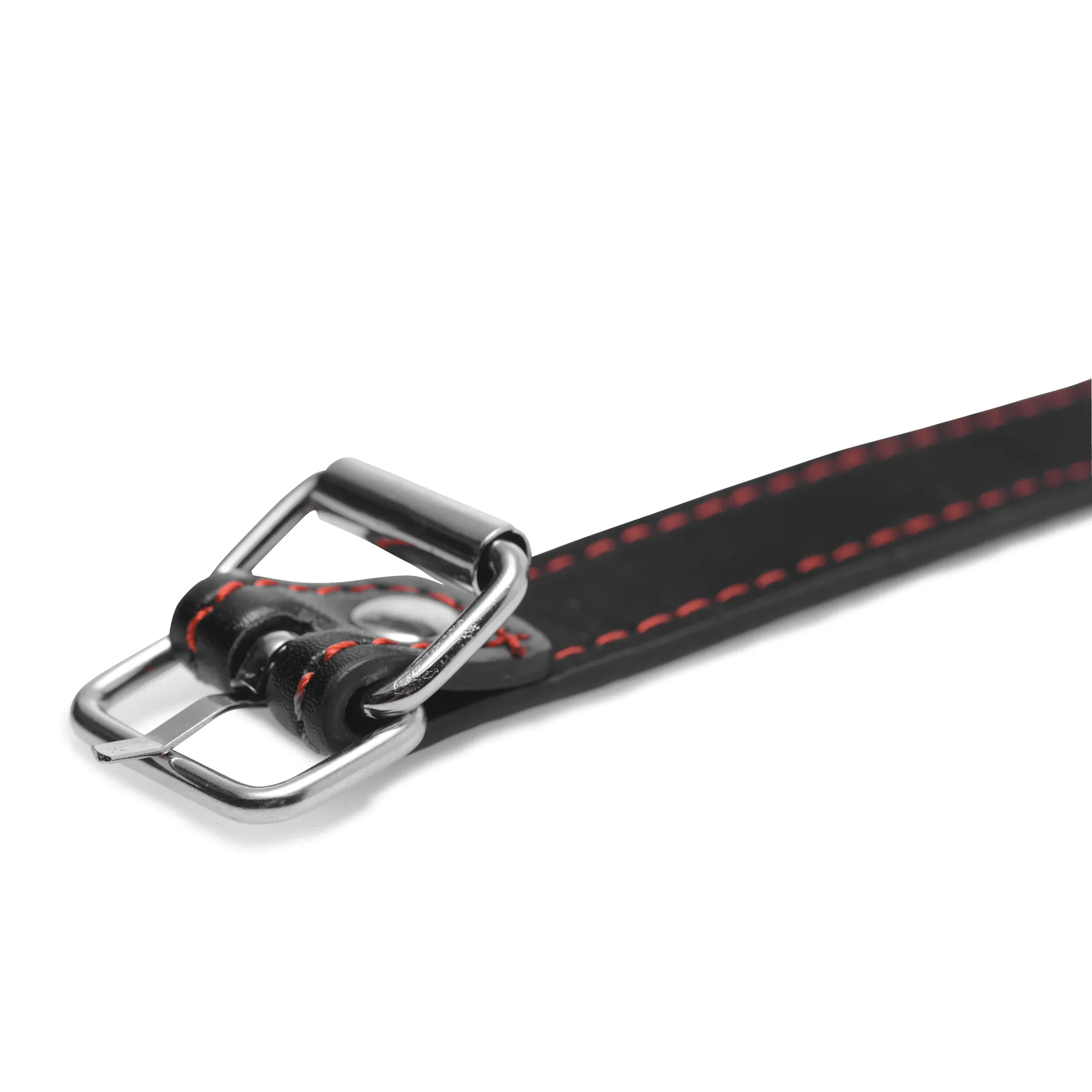XR Brands Master Series Hounds Dog Bone Gag