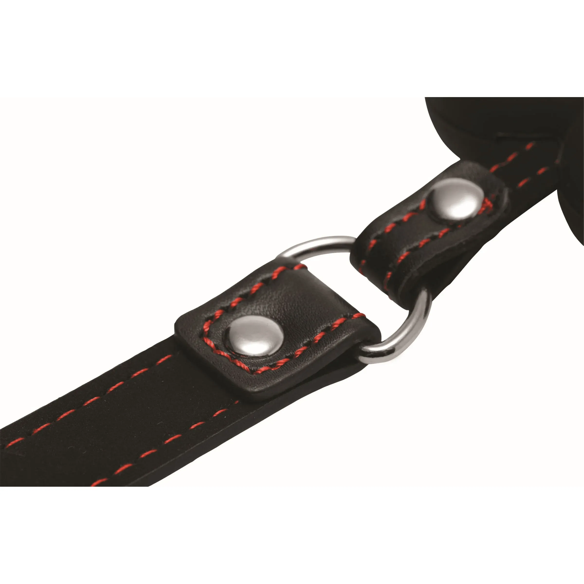 XR Brands Master Series Hounds Dog Bone Gag